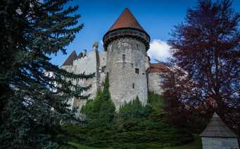 Burgmuseum Heidenreichstein